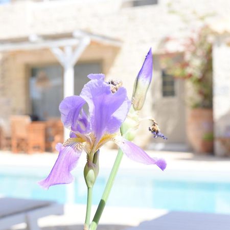 Laini Luxury Suites Pombia エクステリア 写真