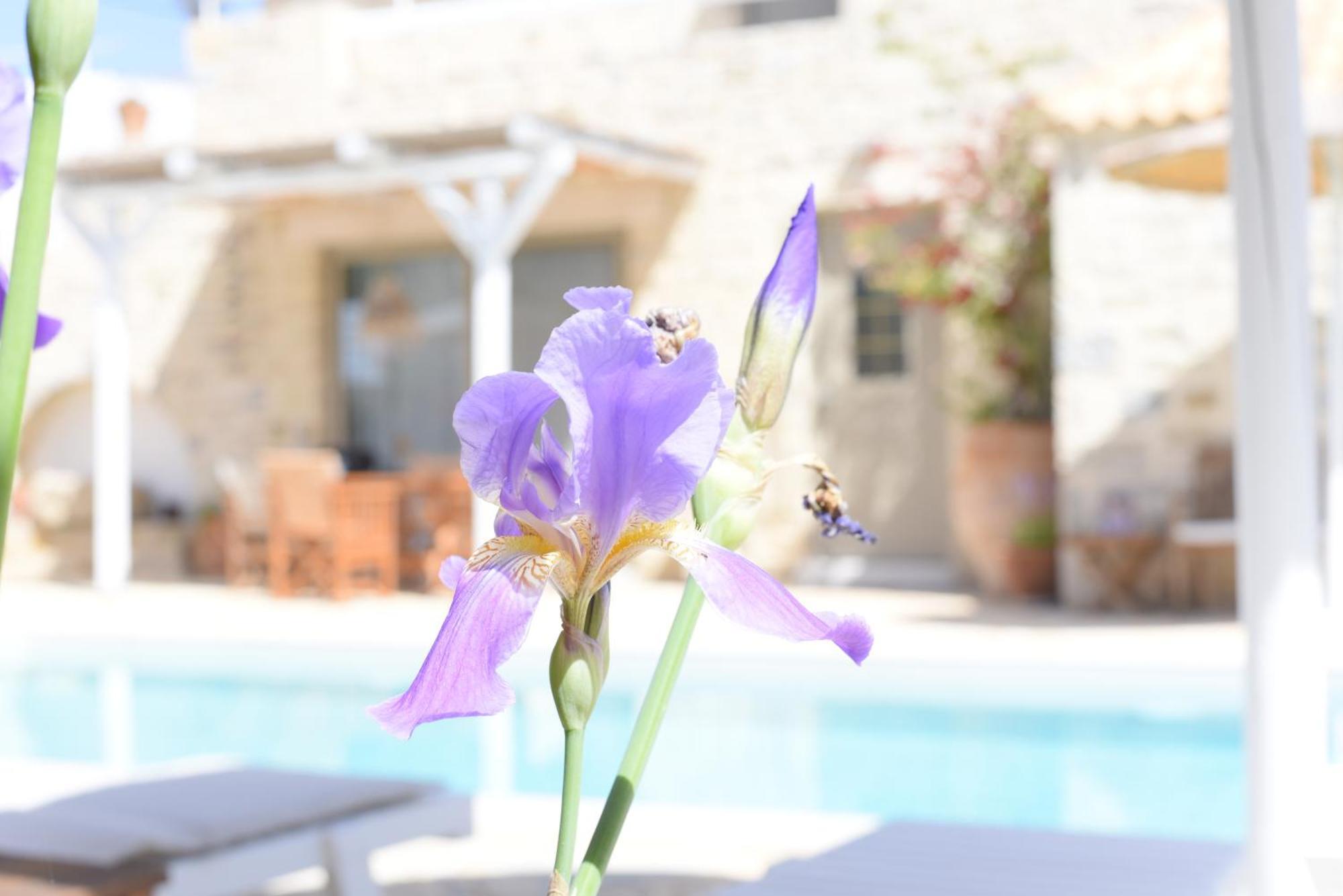 Laini Luxury Suites Pombia エクステリア 写真